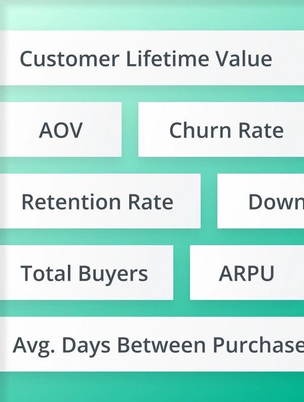 Customer Demographics